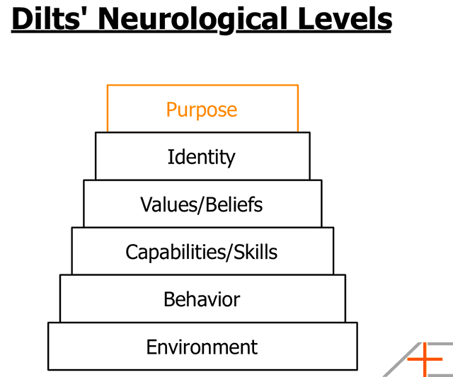 Dilts' Nerological Levels